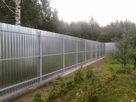 ����� �� �����