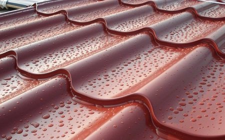 ��������������� � ����������