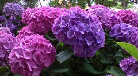 ���������� ������� ����� � ����