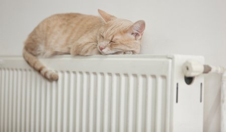 �������� ��������� ���������