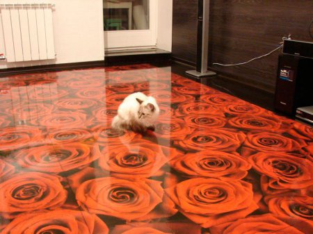 �������� ���