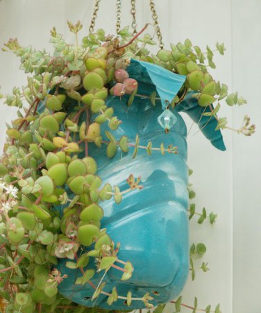 ������������� ���� ����� ����