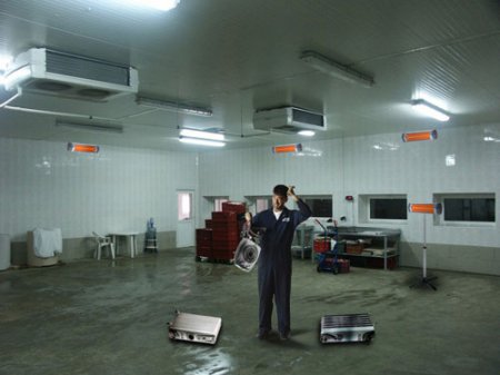 ������������ ������������