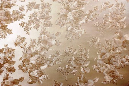 ���� �����������