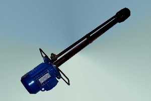 ����� ������ ������