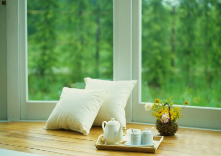 ������������������ ���� - ������ ����� ��� ����