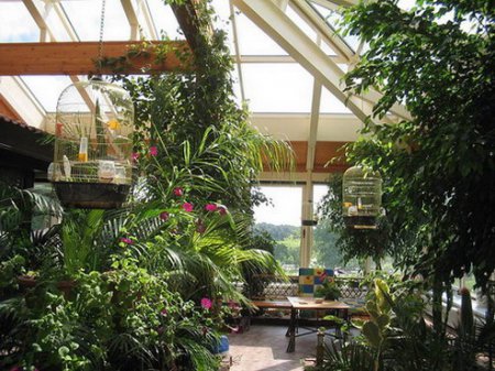 �������� �����