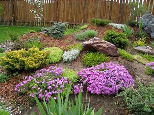 ����������� ������ �� ����