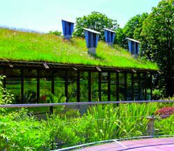 ����� ������������ ������