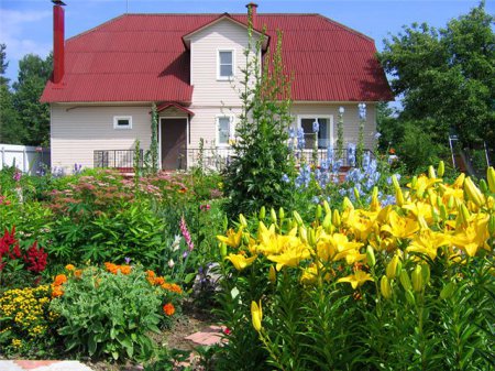 ������ �������