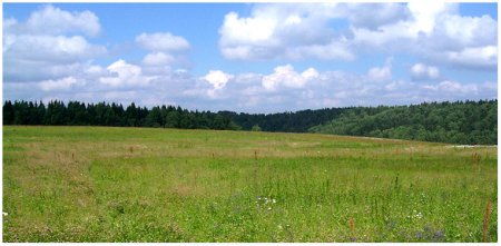 ������������� �� ��������� ��������