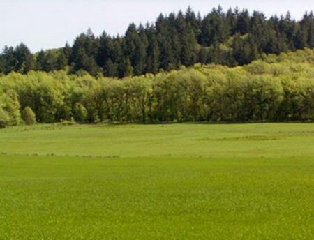 ������ ������� ��� �������� ��� ���������������