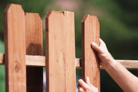 ������������� ������