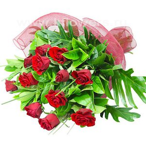 ������ � ����������