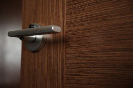 ����, ������������ ��� ������������ ������: �����������