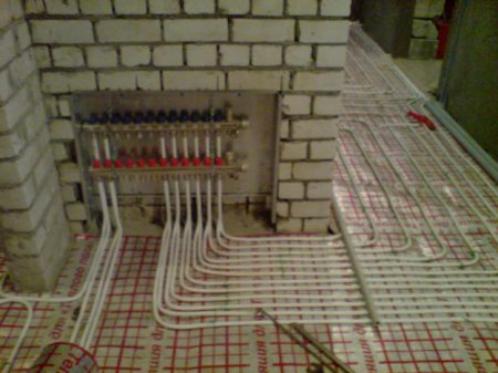 �������� ������ �� ������ ���� � ����� ����� �� ���� ����