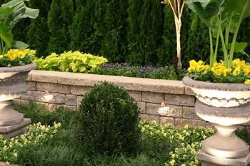 ����������� ����������� ���� �������