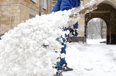 ������������� �������������� ��������� � �� �����������