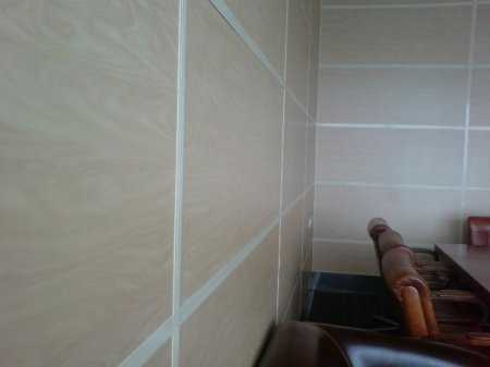 ��� ������ ��� ����