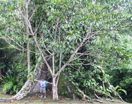 ������ �������� ��� ������ ��� �������� �������