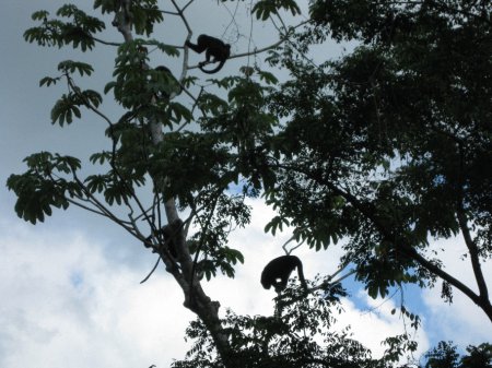 ������ �������� ��� ������ ��� �������� �������