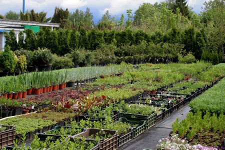 ��������� �������� � ������ ���������