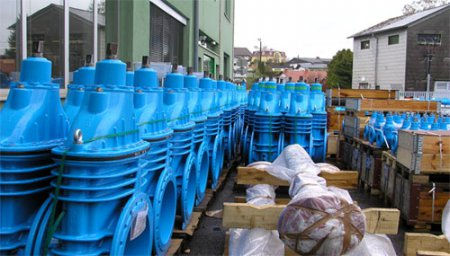 ������������ ��������