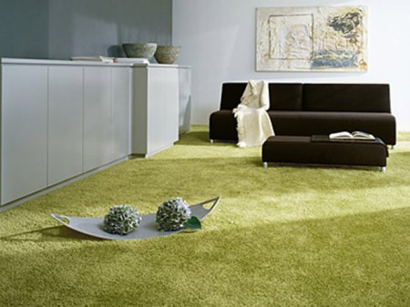 ����� �� ����������� ��������