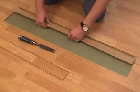 ������ ������ ���� ��������������