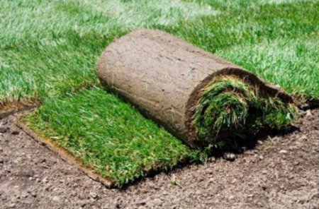 ������ ����� ������ ������