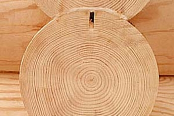 ����� ��������� ����� �������?