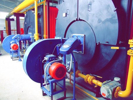 ������������ �����