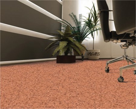 ��� �� ��������� ������ ��� ������ ���������