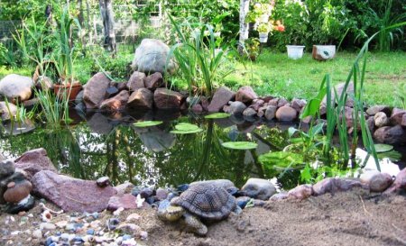 ����������� ����� �� ������������ ������