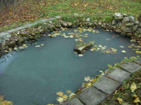 ����������� ����� �� ������������ ������