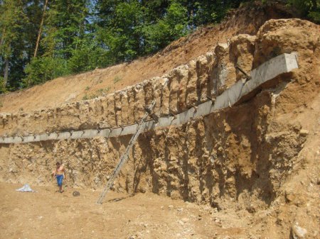 ��� �������� �����