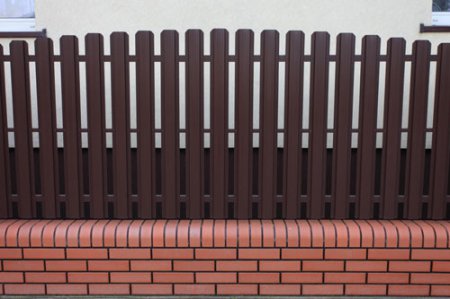 ����� ���������� ���������� �� ��������������