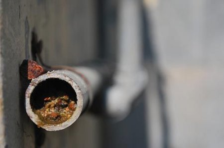 ��������������� �����: ������������ � ���������� ���������