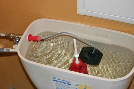 ��� ���������� �� ������� � ��������� �������