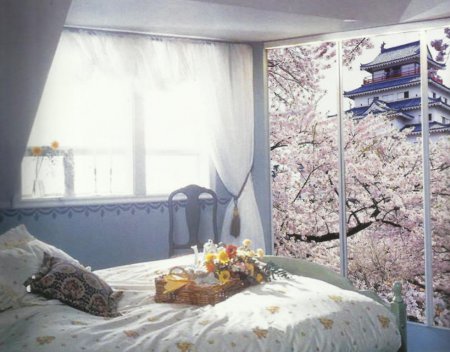 �������� ���������� ���� ��� �������