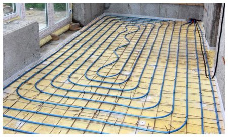 ������ ������� ���� ������ ������