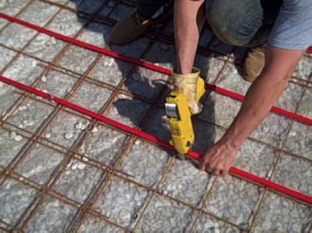 ������ ������� ���� ������ ������