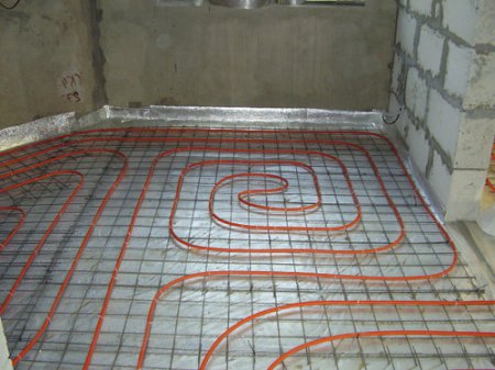 ������ ������� ���� ������ ������