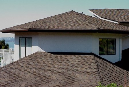 ����� ������ ���� ����?