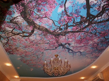 �������� ������� � ��������