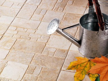 ���� �� ��������������