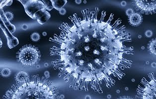 �������� ������������ ����������