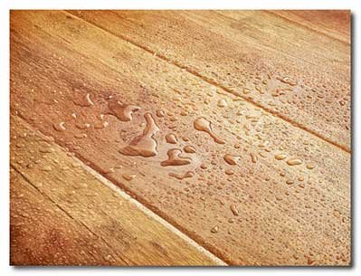 ����������� �������