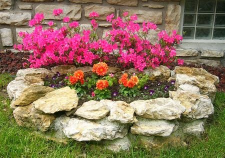 ������ ������ ������