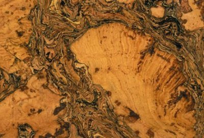 ��������� ������� ��������